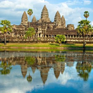 Half Day Excursion to Ta Prohm, Angkor Wat