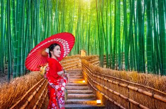 Japan Destination Brief