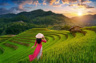 Vietnam Destination Brief