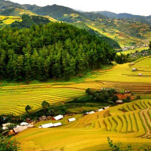 Full Day Excursion to Hoa Binh & Mai Chau
