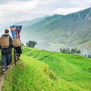 3 Days Trek Hoang Lien National Park