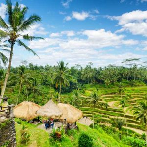 Yogyakarta to Bali Cultural Journey