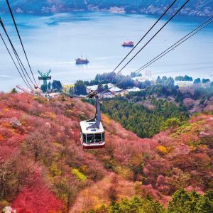 Japan’s Hidden Treasures