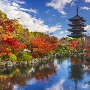 Japan’s Timeless Splendours