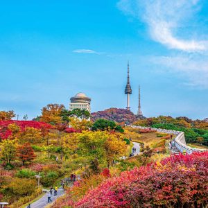 Seoul & Beyond