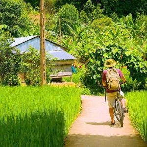 Explore Thuy Bieu