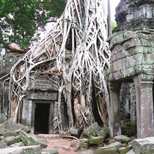 Siem Reap City ↔ Phnom Penh City (Private Transfer)