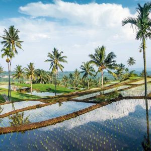 Hidden Treasures of Lombok
