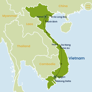 Vietnam Insight