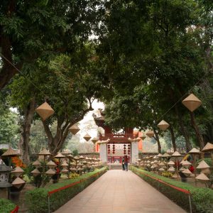Hanoi City ↔ Ninh Binh (Private Transfer)