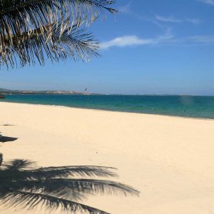 Saigon City ↔ Phan Thiet (Private Transfer)