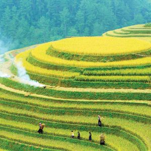 Lao Cai ↔ Sapa (Private Transfer)