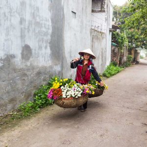 Hanoi City ↔ GOT Ferry Hai Phong (Private Transfer)
