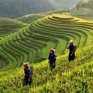 Sapa Explorer