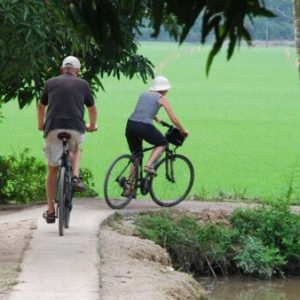 Ben Tre Island from Ho Chi Minh City