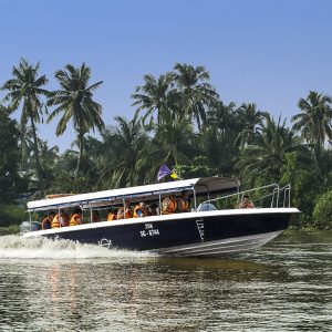 Authentic Mekong Delta by Speedboat