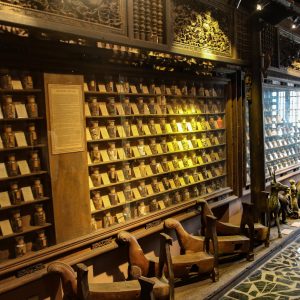 Saigon Traditional Medicine Tour